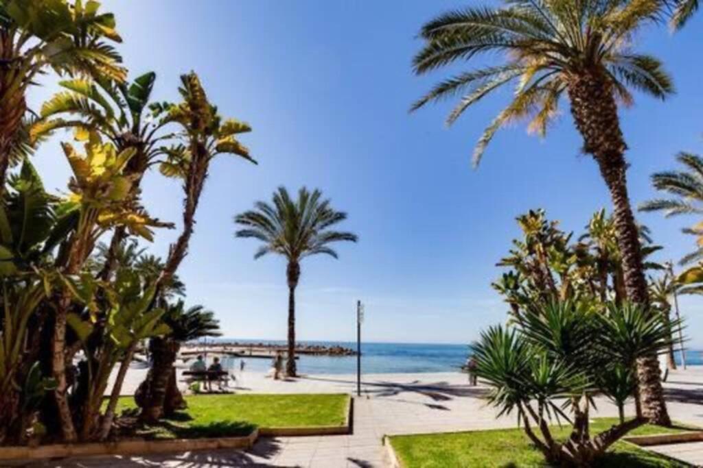 Penthouse Ramon G-Playa Del Cura Daire Torrevieja Dış mekan fotoğraf